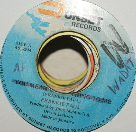 Frankie Paul : You Mean Everything To Me (7")