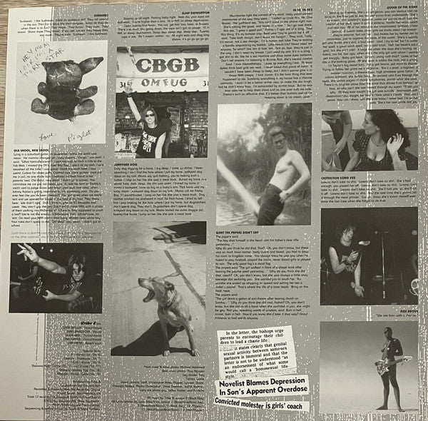 Tribe 8 : Role Models For Amerika (LP, Album)