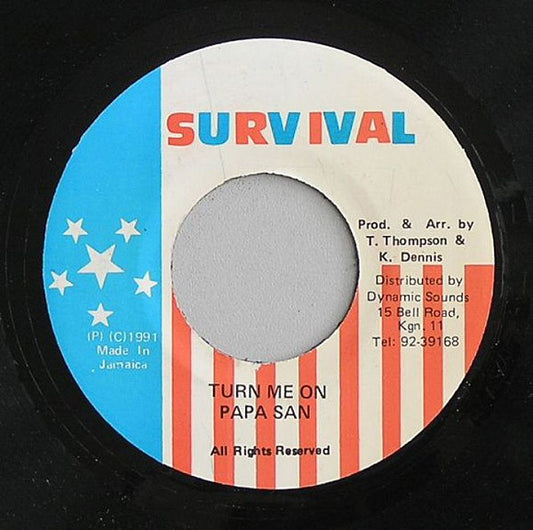 Papa San : Turn Me On (7")