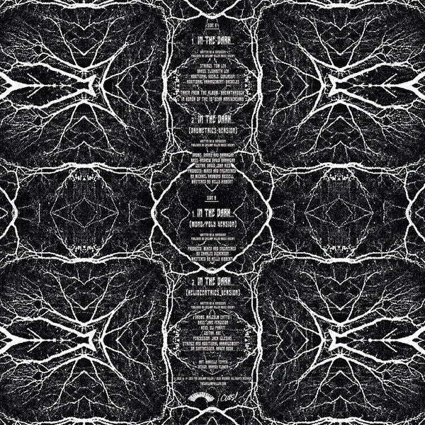 The Gaslamp Killer : In The Dark (12", EP, Ltd)