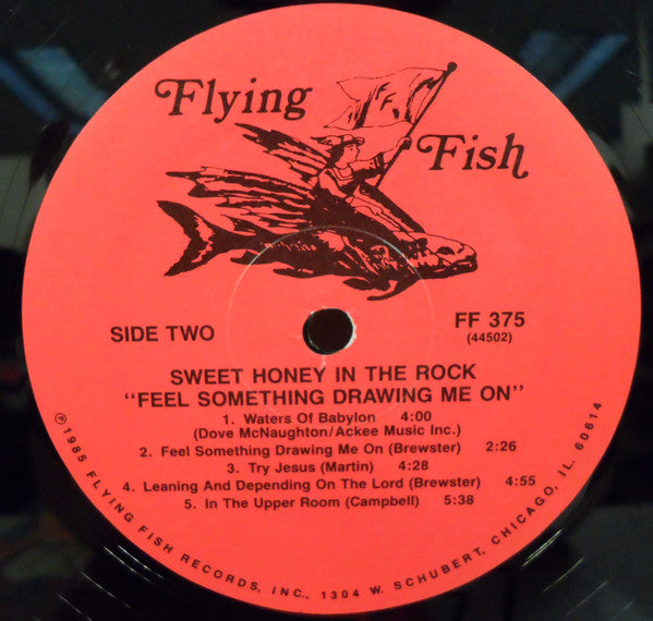 Sweet Honey In The Rock : Feel Something Drawing Me On (LP, Album)