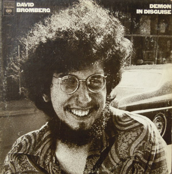 David Bromberg : Demon In Disguise (LP, Album, Ter)