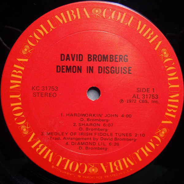 David Bromberg : Demon In Disguise (LP, Album, Ter)