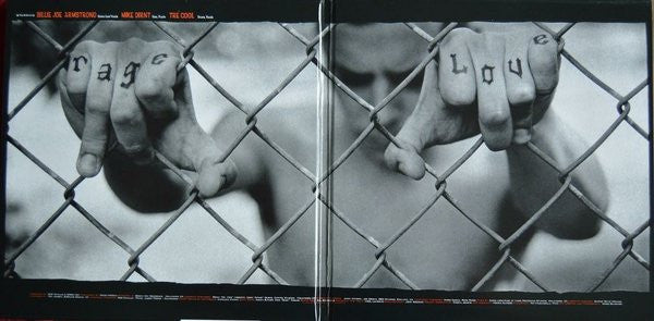 Green Day : American Idiot (2xLP, Album, RE, RM, RP, Gat)