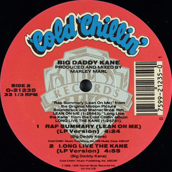 Big Daddy Kane : Rap Summary (Lean On Me) (12", Maxi)