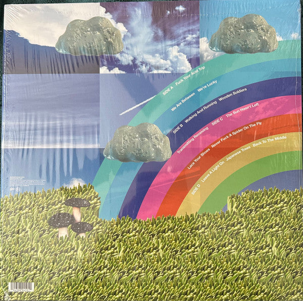 Modest Mouse : The Golden Casket (2xLP, Album)