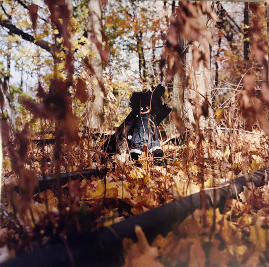 Billy Woods : Golliwog (2xLP, Album)