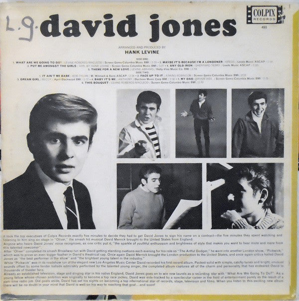 Davy Jones : David Jones (LP, Album, Mono, Mon)