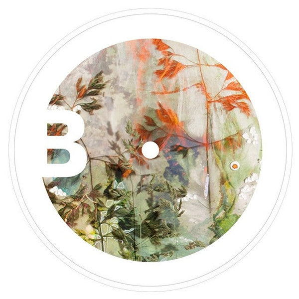The Ericksons : Bring Me Home (LP)
