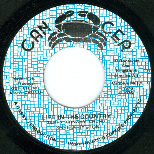 Sheila Hylton : Life In The Country (7")
